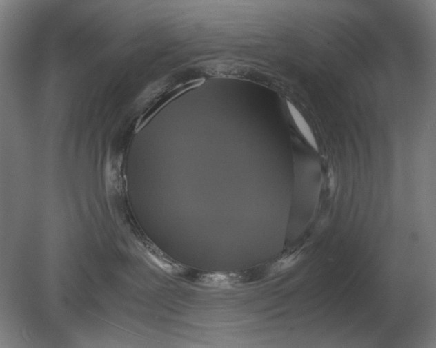 X0000080660239200701050951