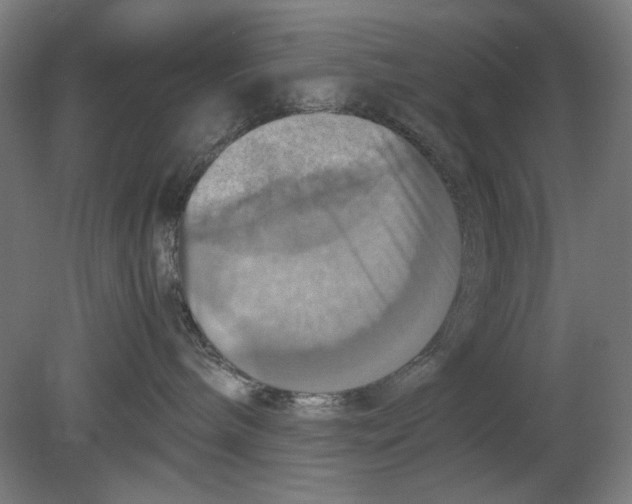 X0000080660240200701050951