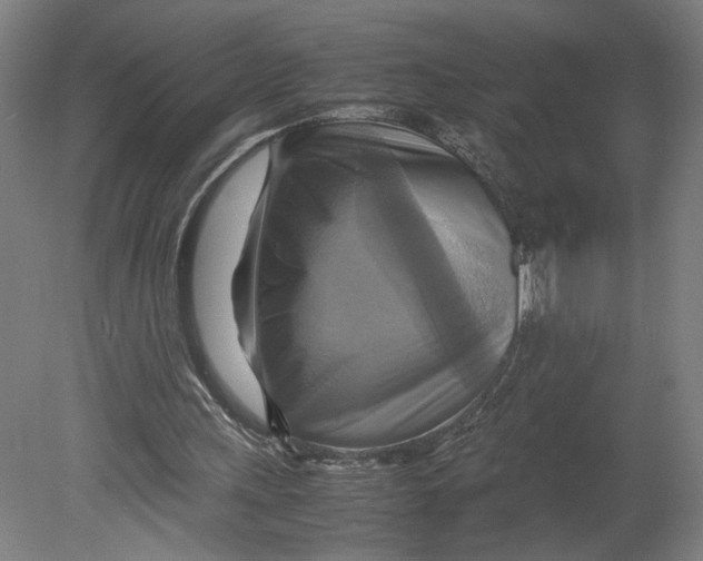 X0000080660243200701050950