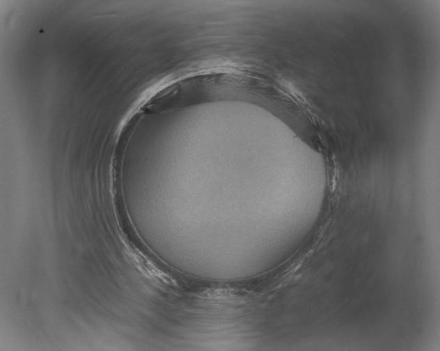 X0000080660244200701050950