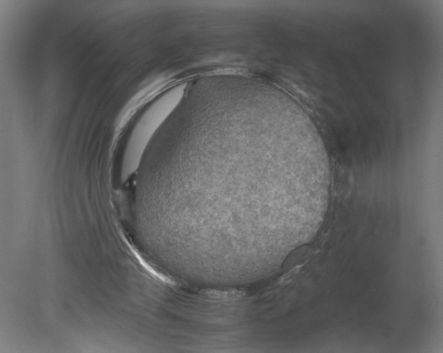 X0000080660245200701050950