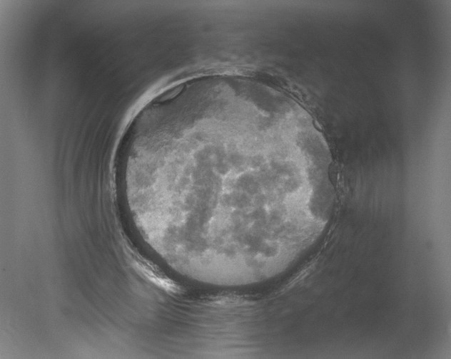 X0000080660246200701050950