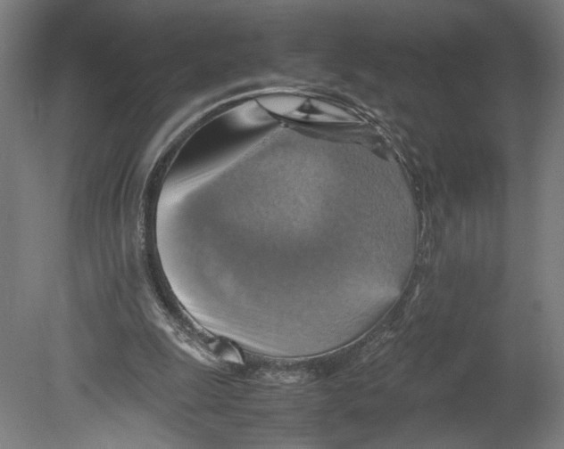 X0000080660247200701050950