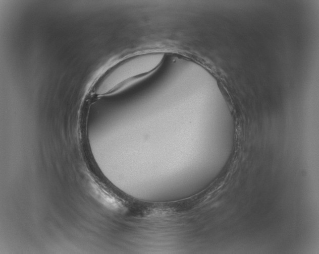 X0000080660248200701050950