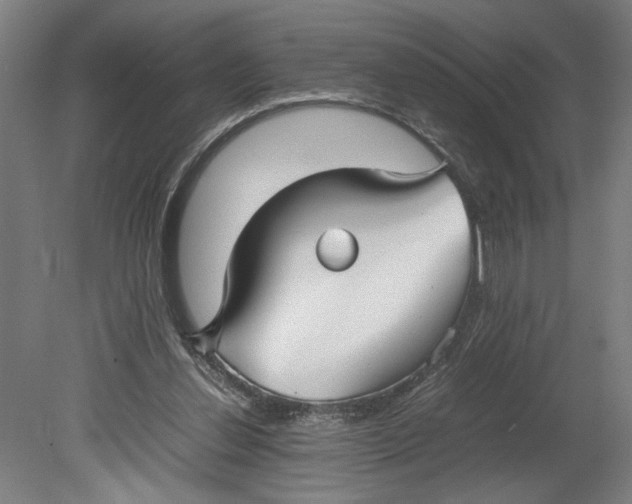 X0000080660252200701050950