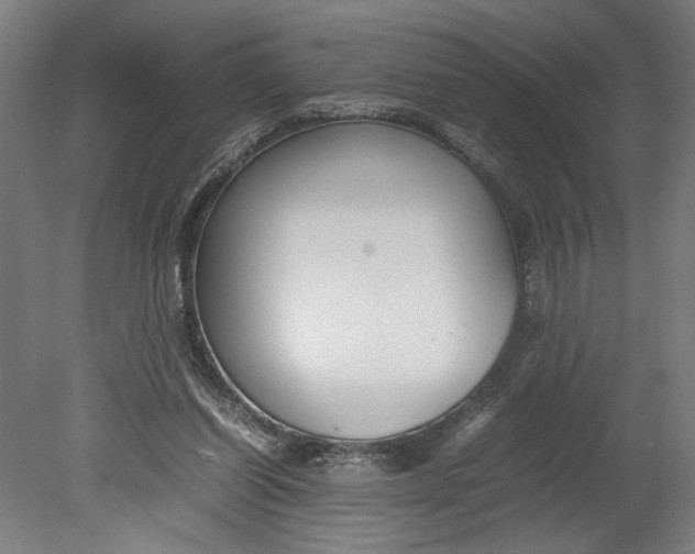 X0000080660254200701050950