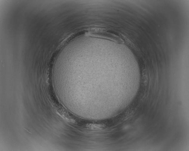 X0000080660255200701050950