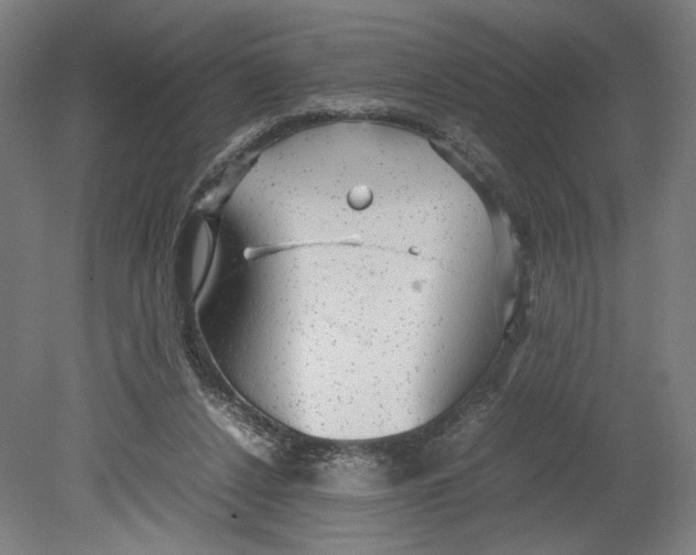 X0000080660256200701050950