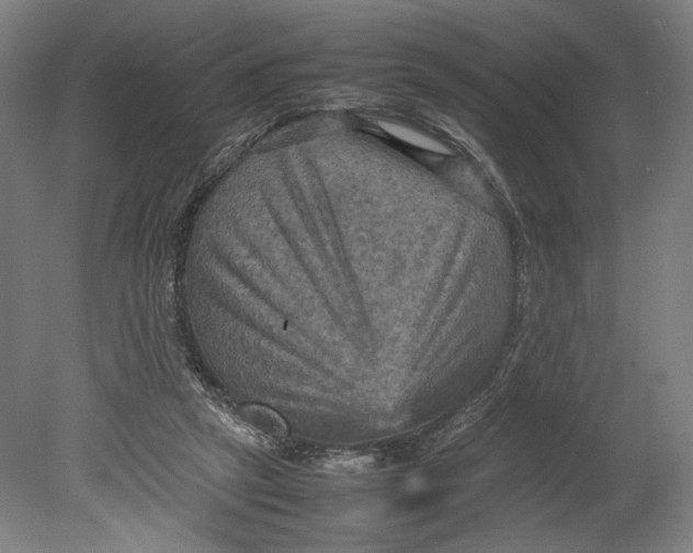 X0000080660257200701050950