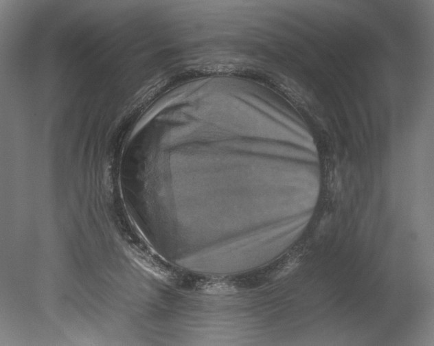 X0000080660258200701050950