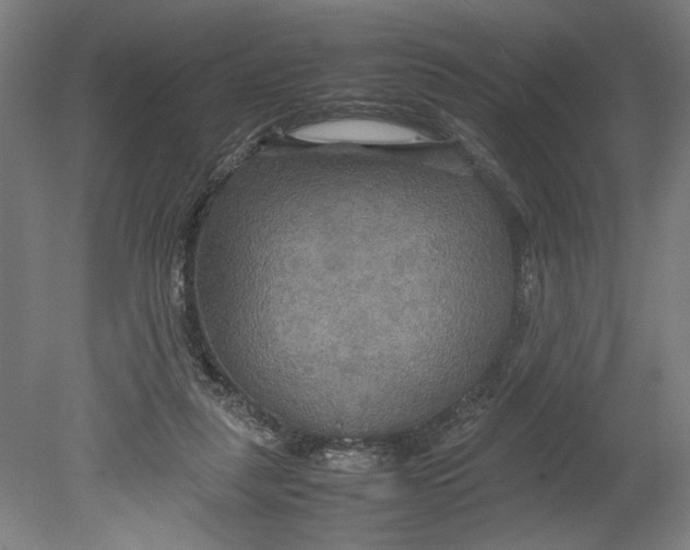 X0000080660259200701050950