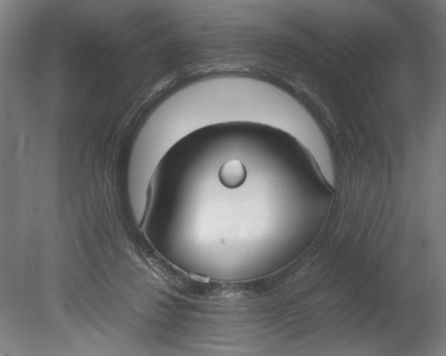 X0000080660260200701050950