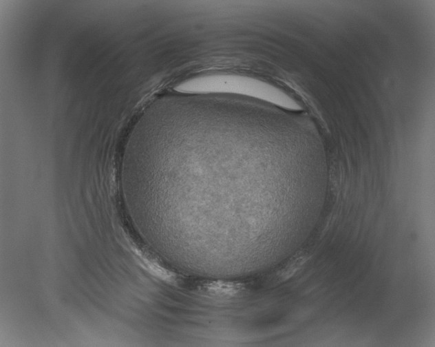 X0000080660261200701050950