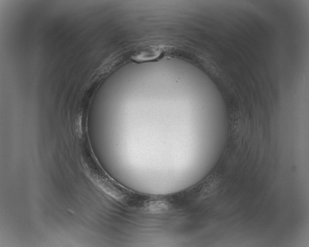 X0000080660262200701050950