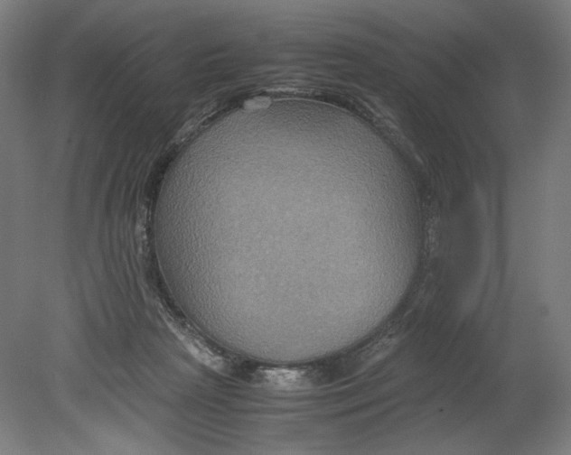 X0000080660265200701050950