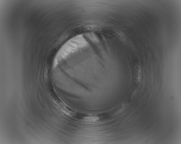 X0000080660266200701050950