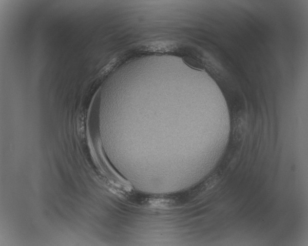 X0000080660268200701050950