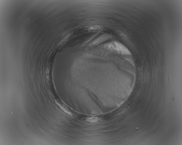 X0000080660269200701050950