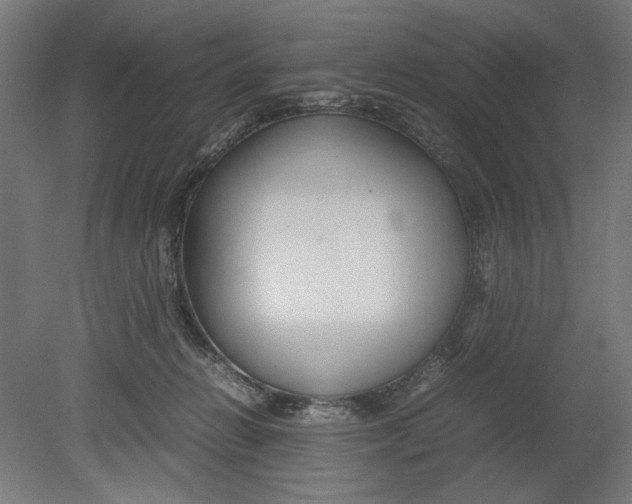 X0000080660270200701050950