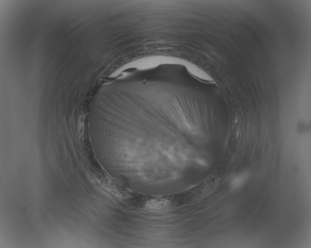 X0000080660271200701050950