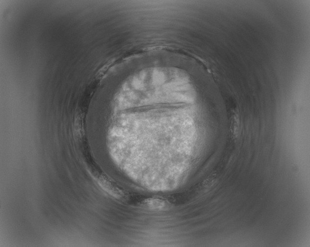 X0000080660272200701050950