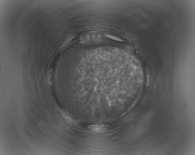 X0000080660273200701050950