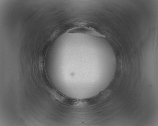 X0000080660274200701050950