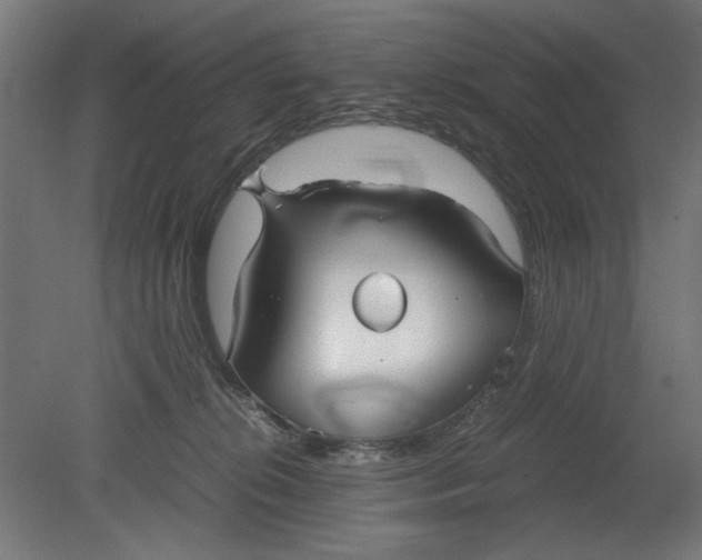 X0000080660276200701050950