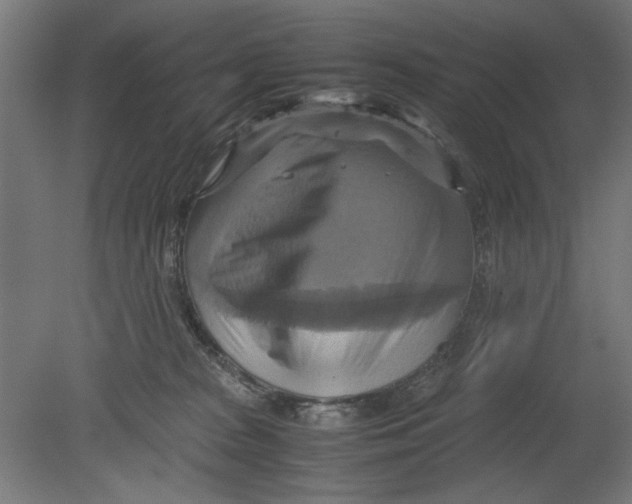 X0000080660277200701050950