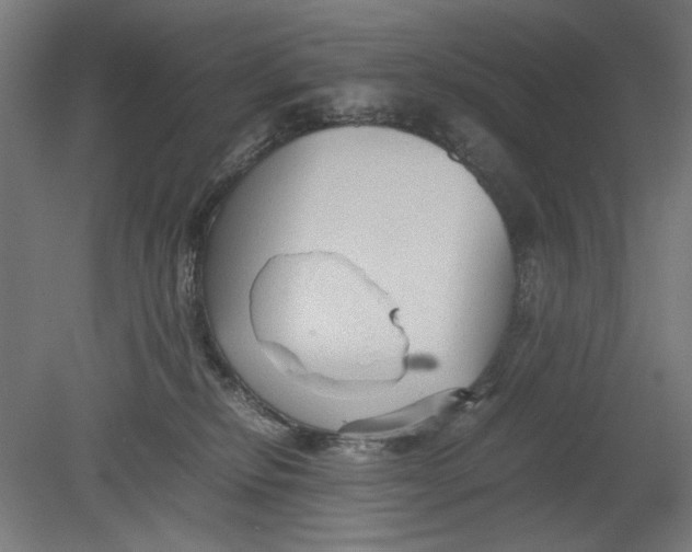 X0000080660278200701050950