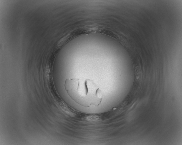 X0000080660279200701050950