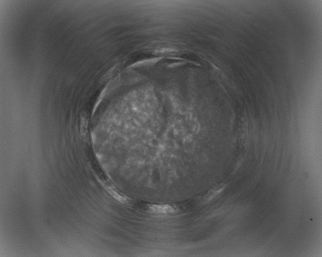 X0000080660281200701050950