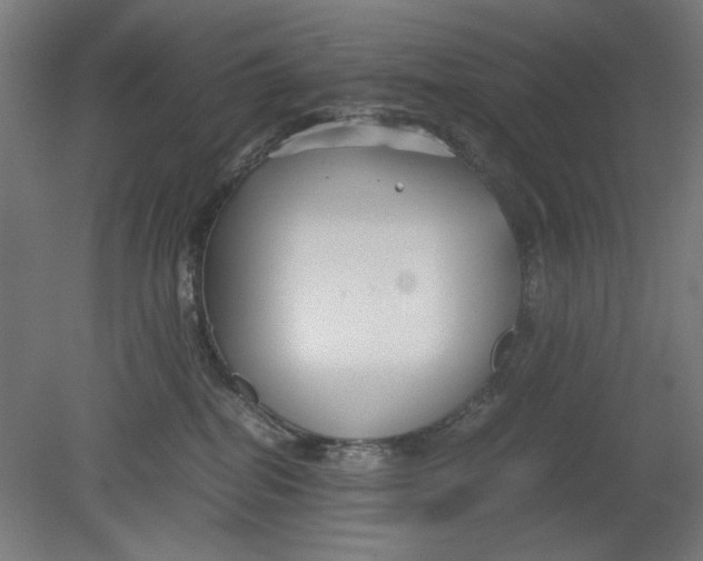 X0000080660282200701050950