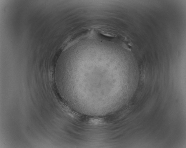 X0000080660283200701050950