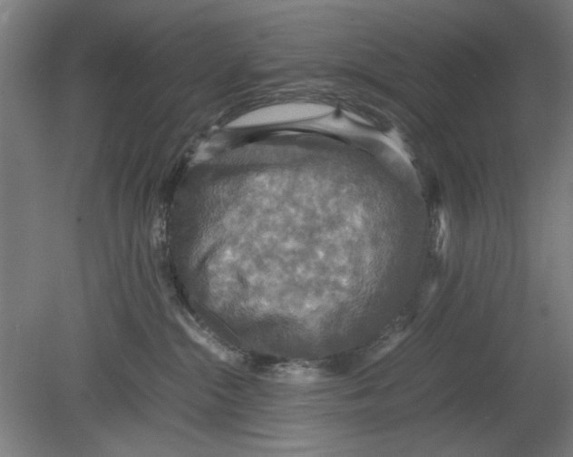 X0000080660284200701050950