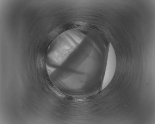 X0000080660285200701050950