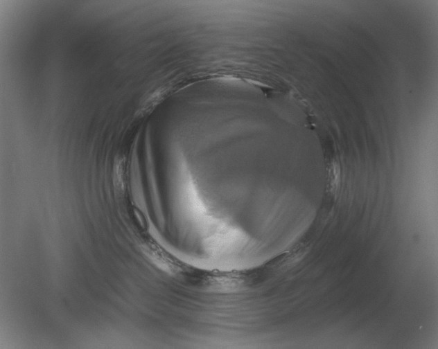 X0000080660286200701050950