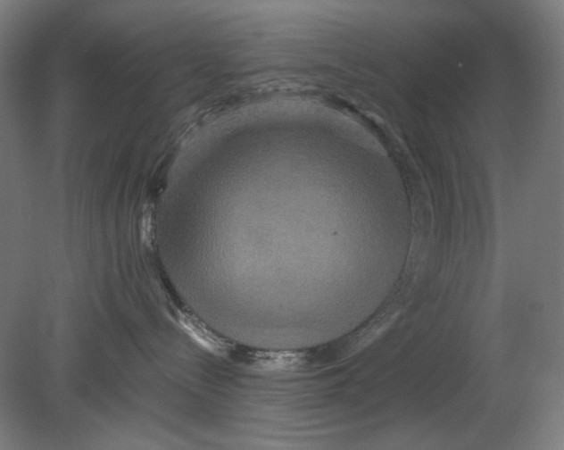 X0000080660288200701050950