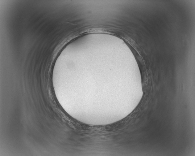 X0000080660289200701050950