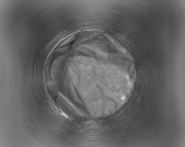 X0000080660290200701050950