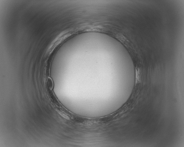 X0000080660291200701050950