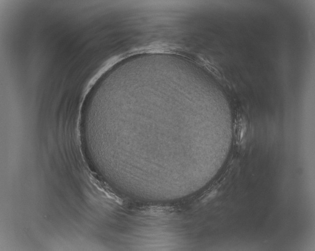 X0000080660292200701050950