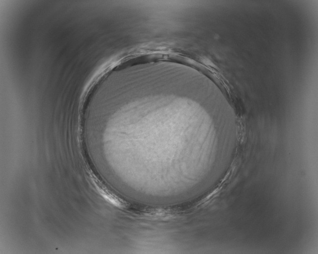 X0000080660293200701050950