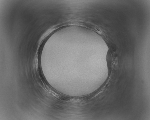 X0000080660294200701050950