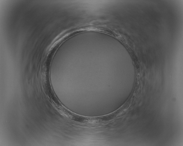 X0000080660295200701050950