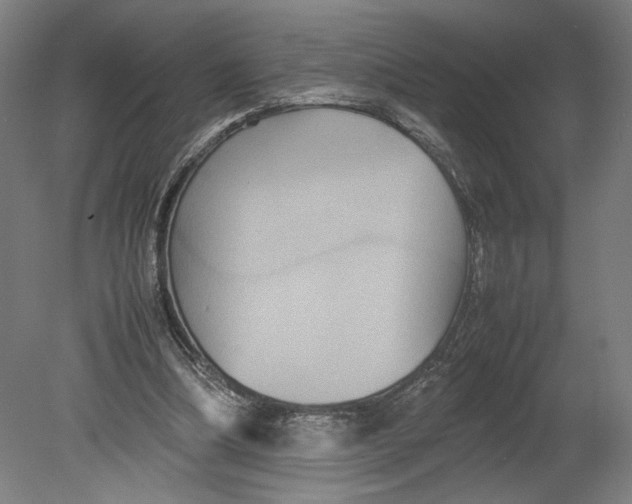 X0000080660298200701050950