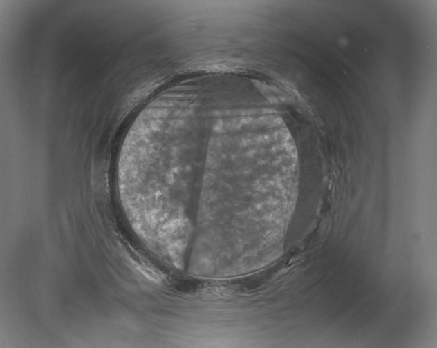 X0000080660299200701050950