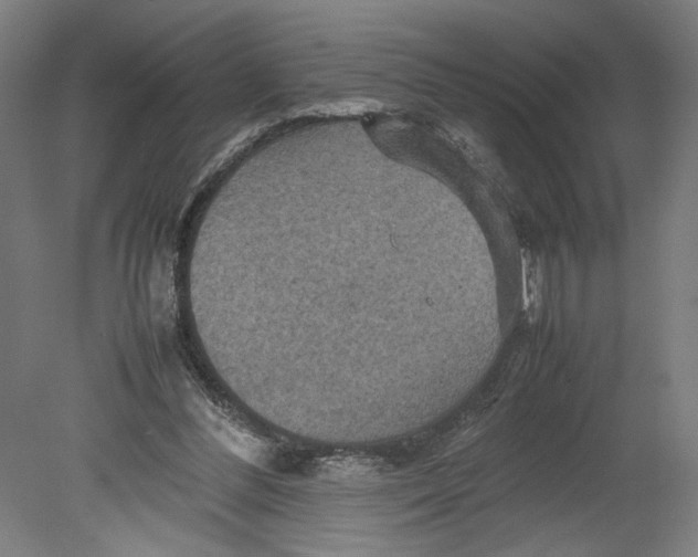 X0000080660300200701050950