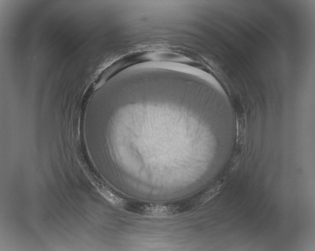 X0000080660301200701050949