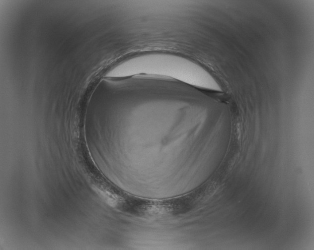 X0000080660303200701050949